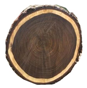 木材進(jìn)口報關(guān)