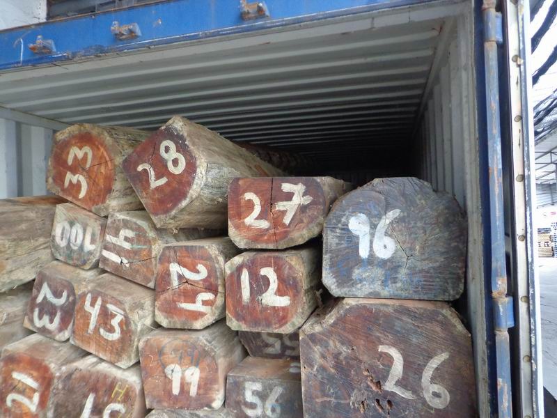 木材報關(guān)操作案例展示