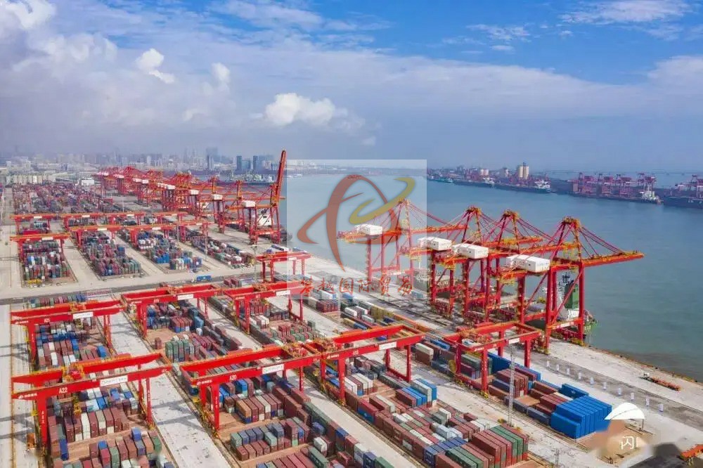 廣州南沙港醫(yī)用防護用品出口清關_海運配艙