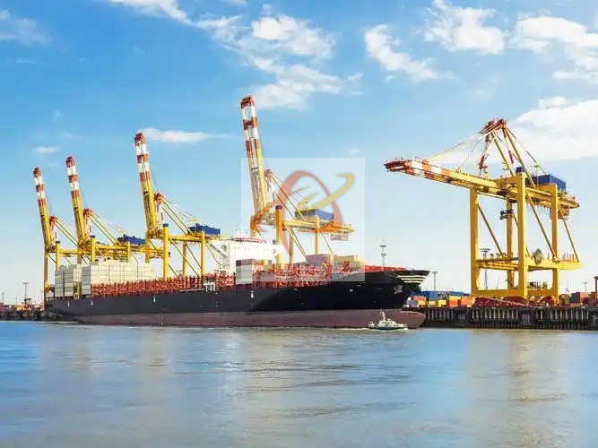 深圳鹽田港食用鹽出口清關(guān)_海運代理