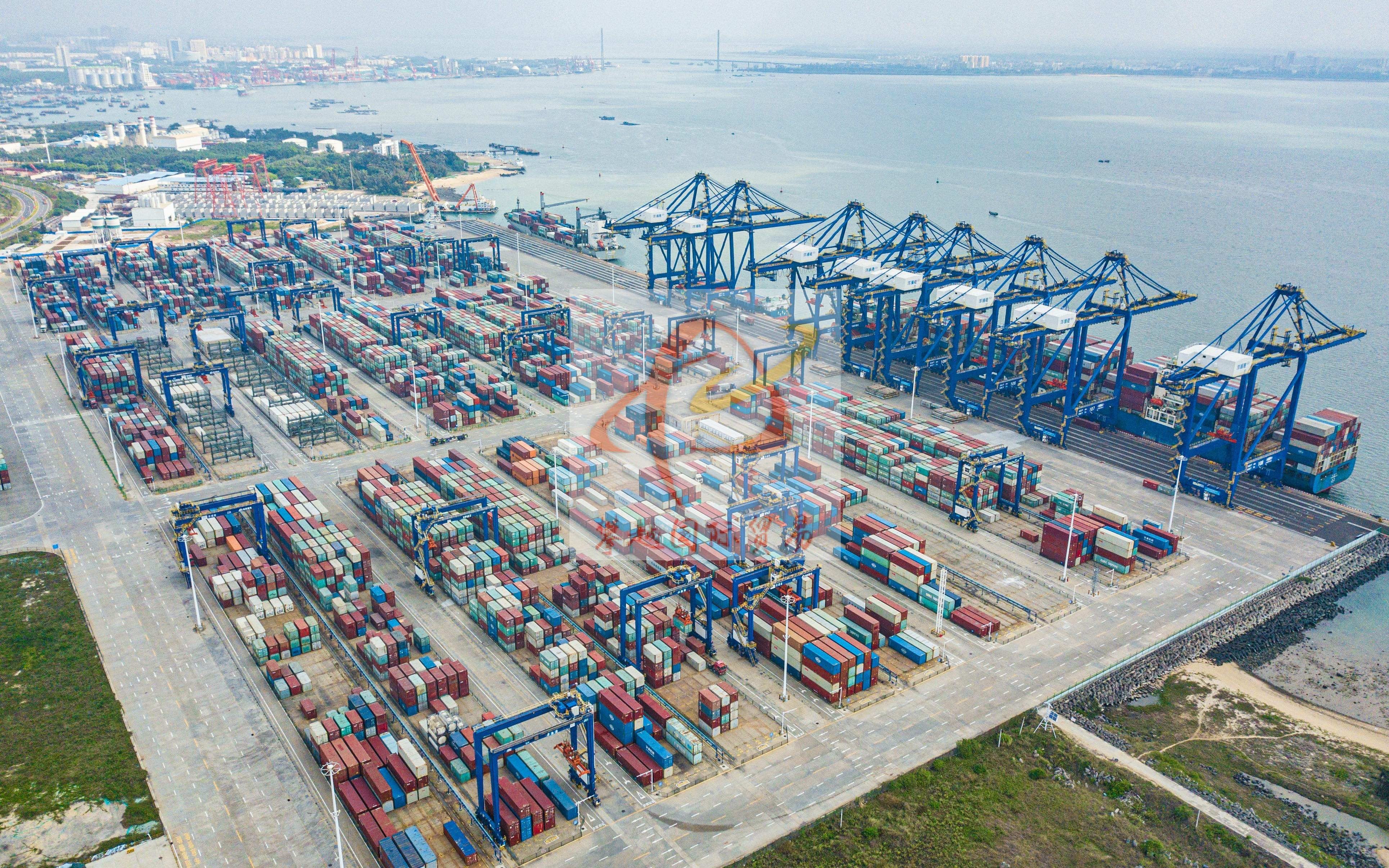 廣州南沙港新鮮蔬菜出口清關(guān)_海運(yùn)代理